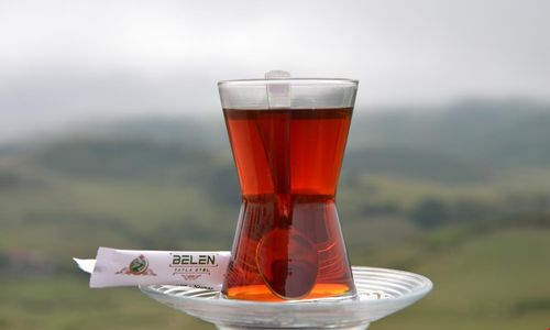 turkiye/ordu/aybasti/belen-yayla-otel_8f71a5d7.jpg