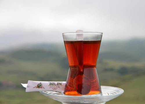 turkiye/ordu/aybasti/belen-yayla-otel_8f71a5d7.jpg