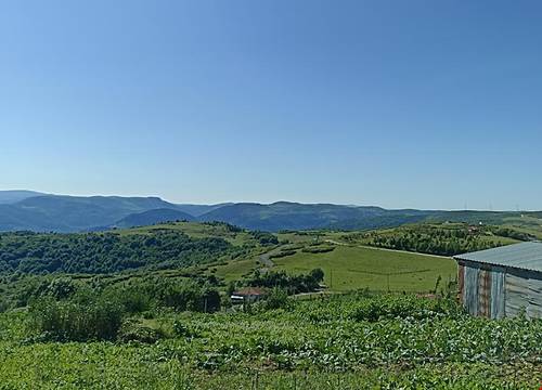 turkiye/ordu/aybasti/gur-tepe-pansiyon_3b83d2b4.jpg