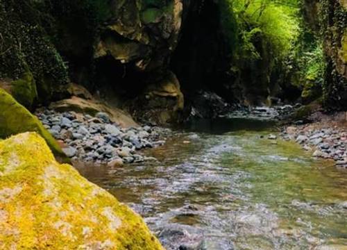 turkiye/ordu/camas/camas-kanyon-tesisleri_22b9e33f.jpg