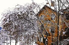 turkiye/ordu/fatsa/hayat-oksijen-resort_e3a710ad.jpg