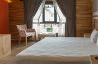 Standard Room - Mountain View
