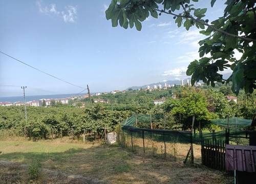 turkiye/ordu/ordumerkez/img202306271412338f9ab630b8f3485891d8dbe4bb08b8cf.jpg