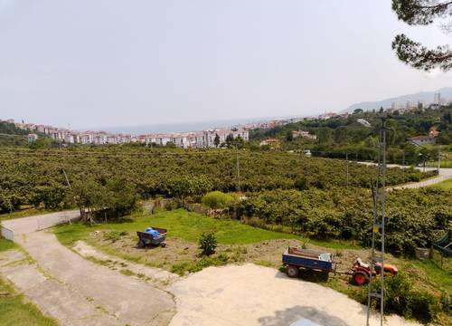 turkiye/ordu/ordumerkez/whatsappimage20241112at09.46.207bb5ddc976e84ed7a4f7fb611010ce96.jpeg