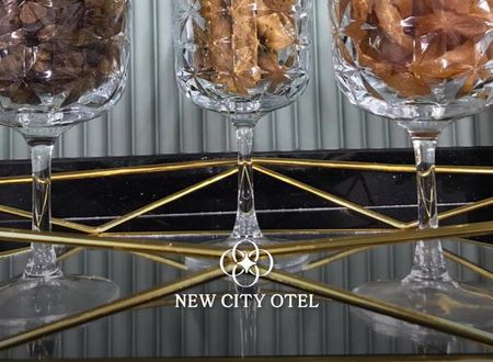 turkiye/osmaniye/osmaniye-merkez/new-city-otel_337e45de.png