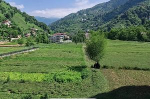 turkiye/rize/ardesen/6b9c4ed8faf94738a0792648fa53f2ad7ff2f323d77c4721b7183ad6a0984532.jpeg