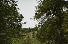 turkiye/rize/ardesen/ankra-deluxe-konak_6a96f2c3.jpg