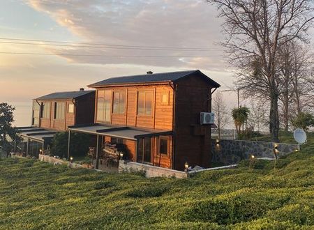 turkiye/rize/ardesen/delmaresuit-villa_493ba2a9.jpg