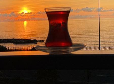turkiye/rize/ardesen/delmaresuit-villa_6d830a30.jpg
