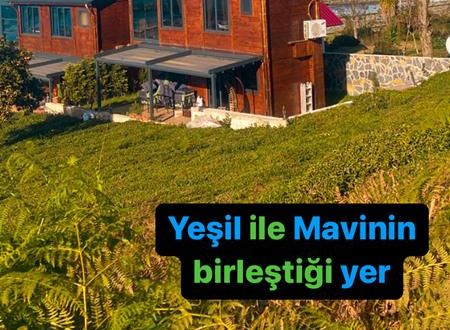 turkiye/rize/ardesen/delmaresuit-villa_f90b967e.jpg