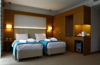 Standard Room - Double Bed