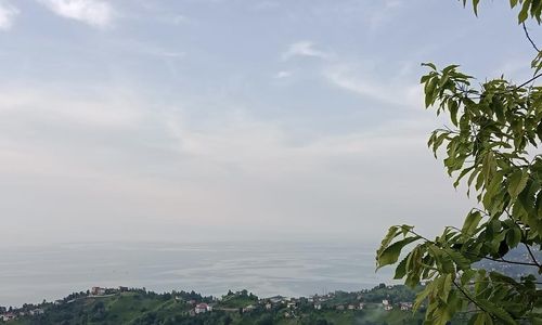 turkiye/rize/ardesen/lazzy-bungalov_f2301805.jpg