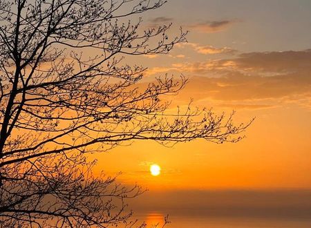 turkiye/rize/ardesen/madag-bungalov_3c4ede74.jpg