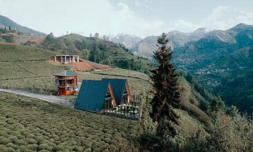 turkiye/rize/ardesen/mosa-bungalov_768a4a09.jpg
