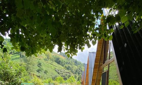 turkiye/rize/ardesen/oce-bungalow_118d5155.jpg