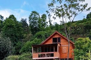 turkiye/rize/ardesen/patika-bungalow_009608da.jpg