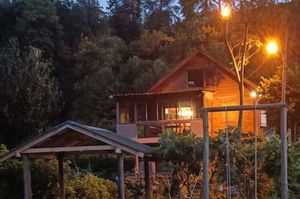 turkiye/rize/ardesen/patika-bungalow_145aedd0.jpg
