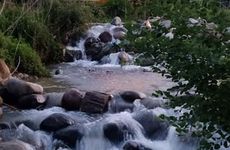 turkiye/rize/ardesen/patika-bungalow_14f799a5.jpg