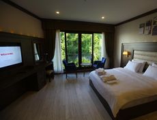 Standard Room - Forest View And Sea View