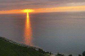 turkiye/rize/ardesen/tepedebiyer_d2f5f3c9.jpg