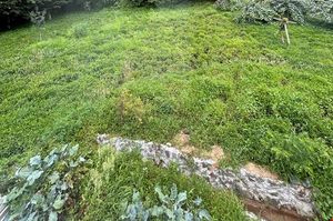 turkiye/rize/ardesen/tuna-bungalow_beb83cf6.jpg