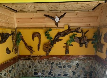 turkiye/rize/ardesen/uc-pinar-suit-bungalow-restoran_39c22db6.jpg
