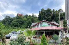 turkiye/rize/ardesen/zeni-konagi_17783002.jpg