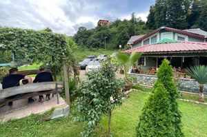 turkiye/rize/ardesen/zeni-konagi_db3dc37e.jpg