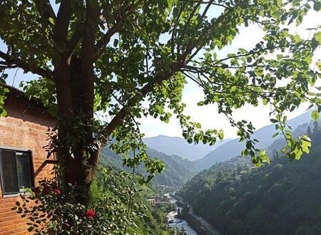 turkiye/rize/camlihemsin/avitte-dag-evleri_05e51a6b.jpg