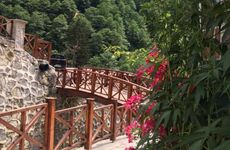 turkiye/rize/camlihemsin/ayder-bulut-dag-evi_96c57237.jpg