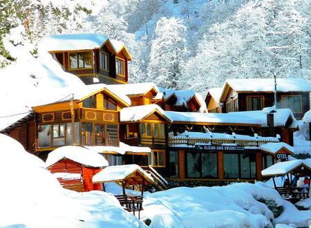 turkiye/rize/camlihemsin/ayder-elizan-hotel-834625917.JPG