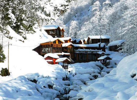 turkiye/rize/camlihemsin/ayder-elizan-hotel_1c7ff8bc.jpg