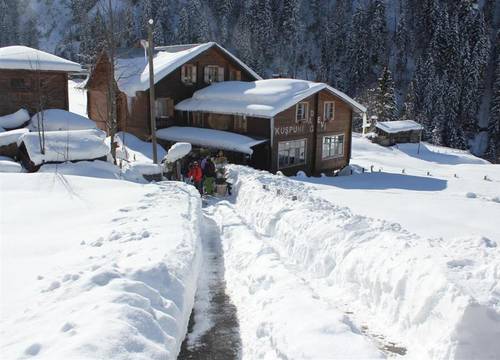 turkiye/rize/camlihemsin/ayder-kuspuni-dag-evi-67ebaec6.jpg