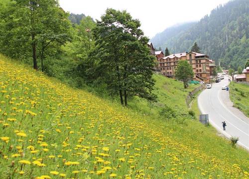 turkiye/rize/camlihemsin/ayder-resort-hotel-17169212.jpg