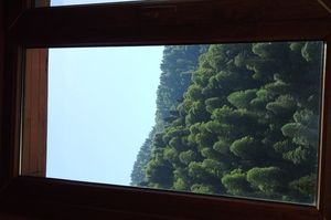 turkiye/rize/camlihemsin/ayder-semih-pansiyon-1273457.jpg
