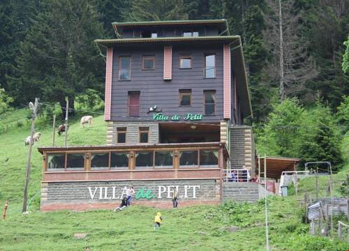 turkiye/rize/camlihemsin/ayder-villa-de-pelit-hotel_63603995.jpg