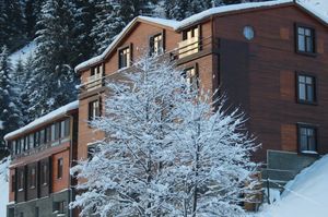 turkiye/rize/camlihemsin/ayderoom-otel-461632.jpg