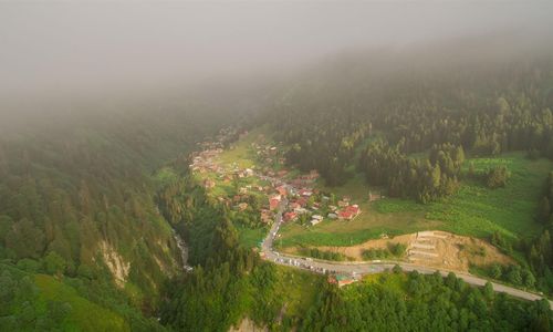 turkiye/rize/camlihemsin/ayderoom-otel-a565ff86.jpg