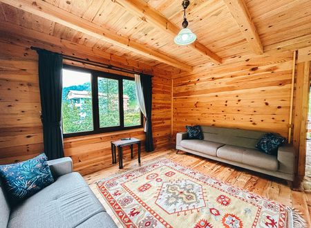 turkiye/rize/camlihemsin/bercem-villa_e03c29ea.jpg