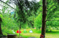turkiye/rize/camlihemsin/cancik-dag-evleri_6789686a.jpg