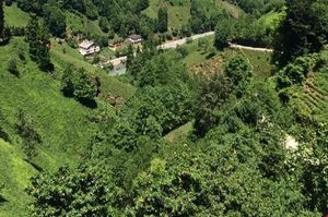 turkiye/rize/camlihemsin/deniz-apart_149615dd.jpg