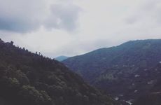 turkiye/rize/camlihemsin/deniz-apart_9e6d28e2.jpg
