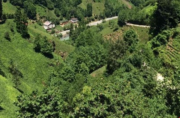 turkiye/rize/camlihemsin/deniz-apart_e20990d4.jpg