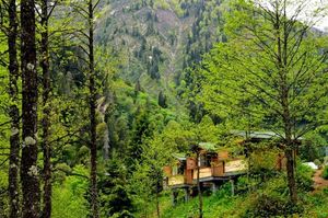 turkiye/rize/camlihemsin/deroni-bungalov_49102c29.jpg