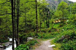 turkiye/rize/camlihemsin/deroni-bungalov_8b28f56f.jpg
