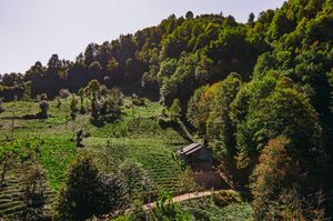 turkiye/rize/camlihemsin/dji_0028edited7d076527dd3d4fddbc460aa7d6f5609b.jpg