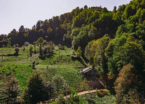 turkiye/rize/camlihemsin/dji_0028edited7d076527dd3d4fddbc460aa7d6f5609b.jpg