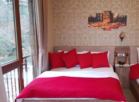 turkiye/rize/camlihemsin/hanedan-suit-otel-5bd686ad.jpg