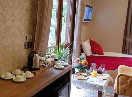 turkiye/rize/camlihemsin/hanedan-suit-otel-8b36cb31.jpg