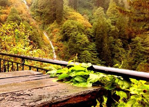turkiye/rize/camlihemsin/hilaz-otel-705497806.png